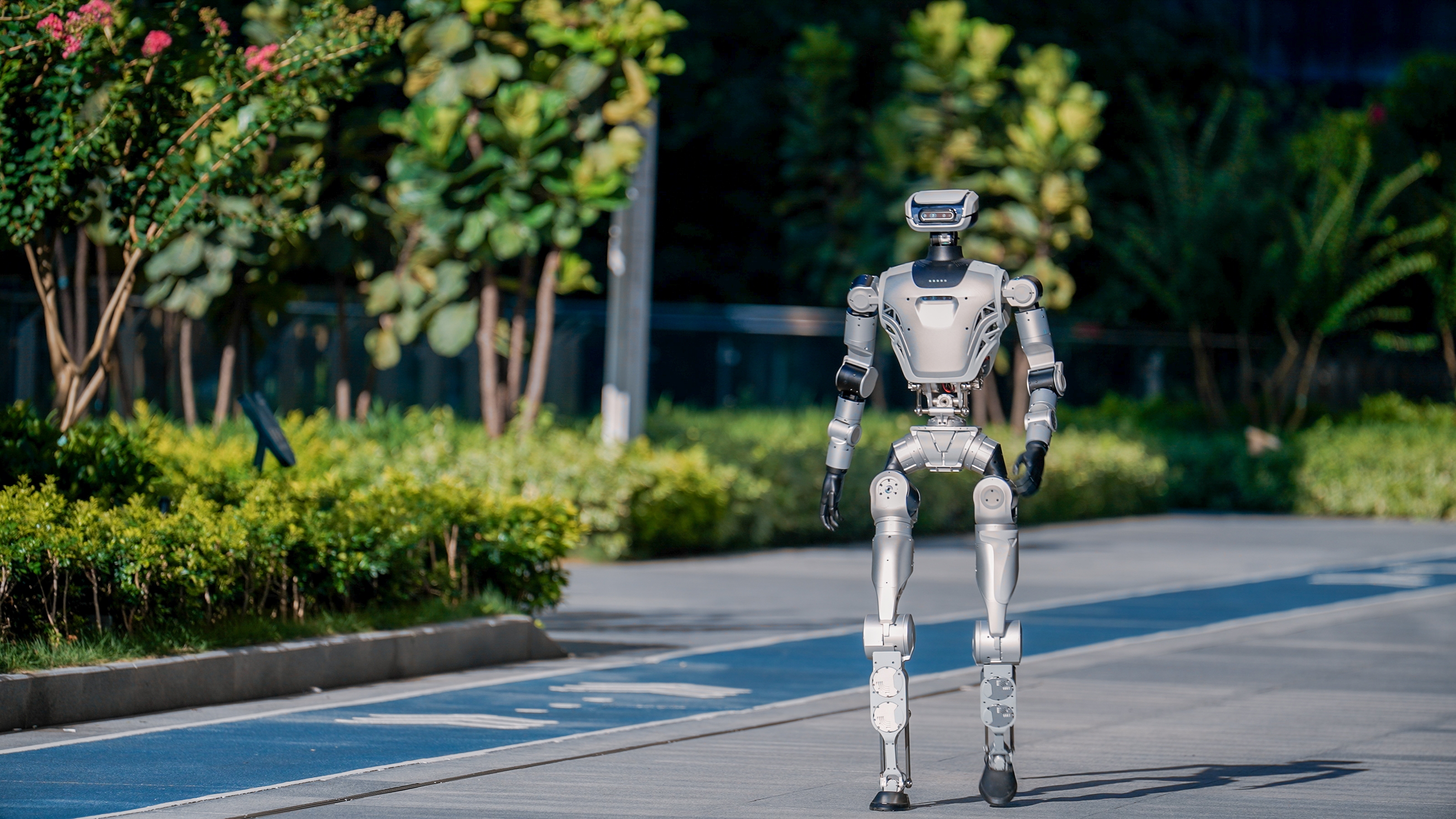 Humanoid Roboter walking