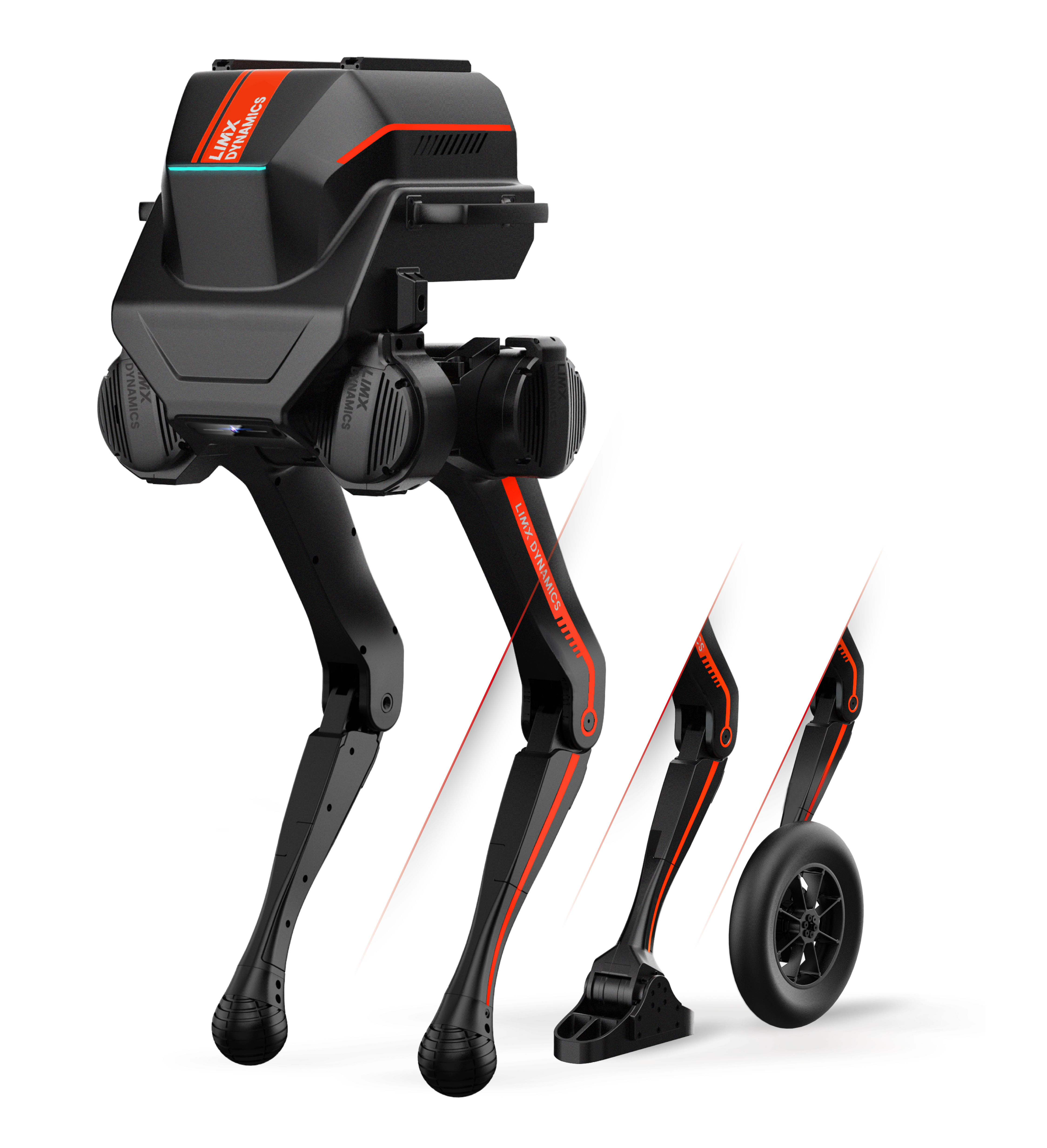 the different robots variants 