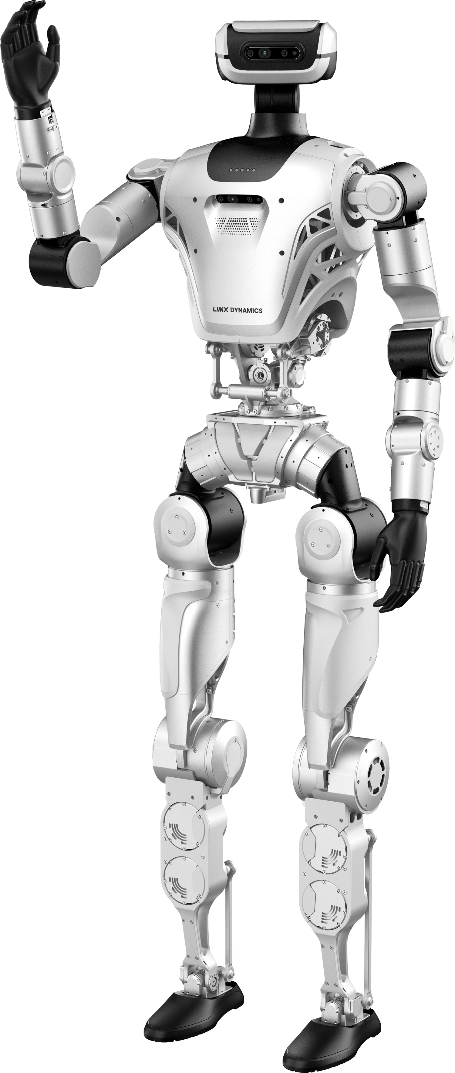 Humanoid Robot Standing and greeting